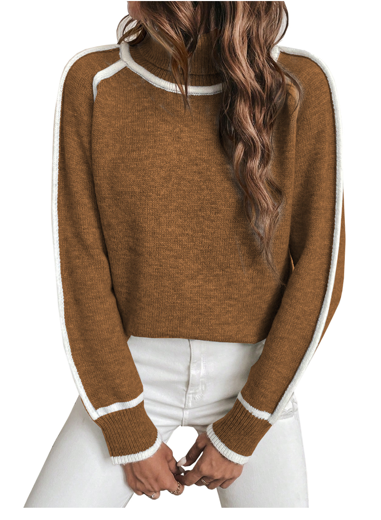 Myk Turtleneck Vintergenser